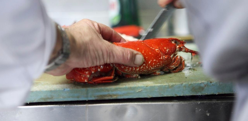 Kritik am Meeresfisch-Siegel MSC