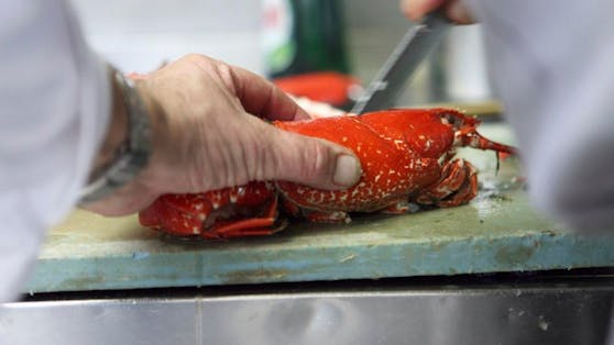 90 Prozent der nutzbaren Fischbestände sind ausgeschöpft. 