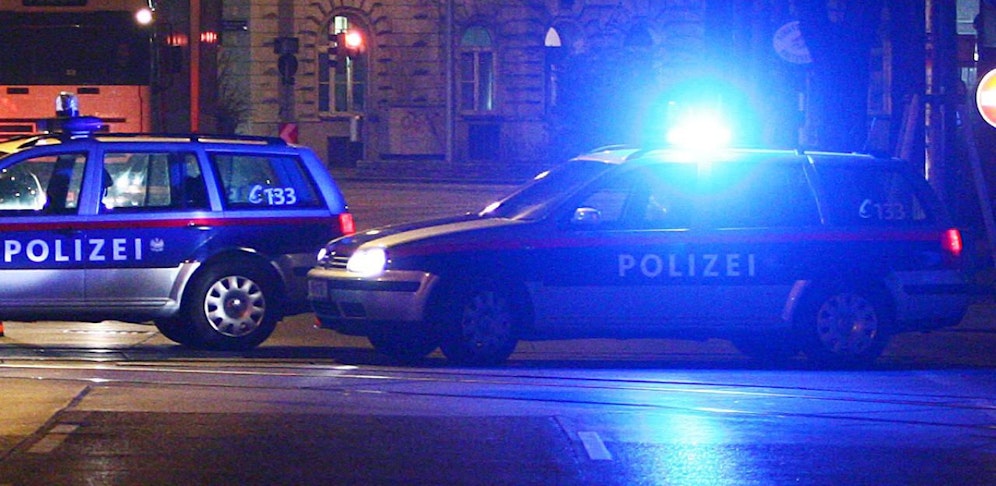 Der Dieb wurde festgenommen.