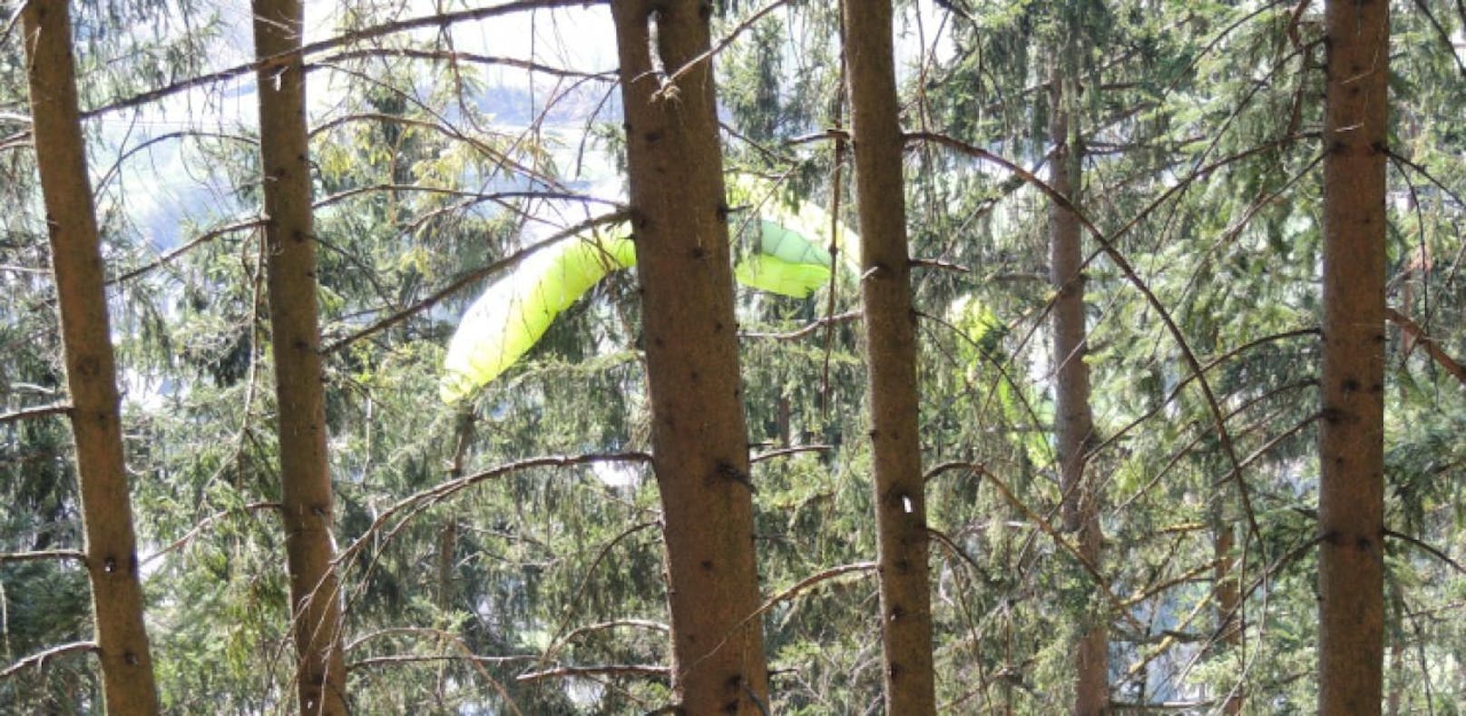 Paragleiter (44) hing 70 Minuten in Baum fest