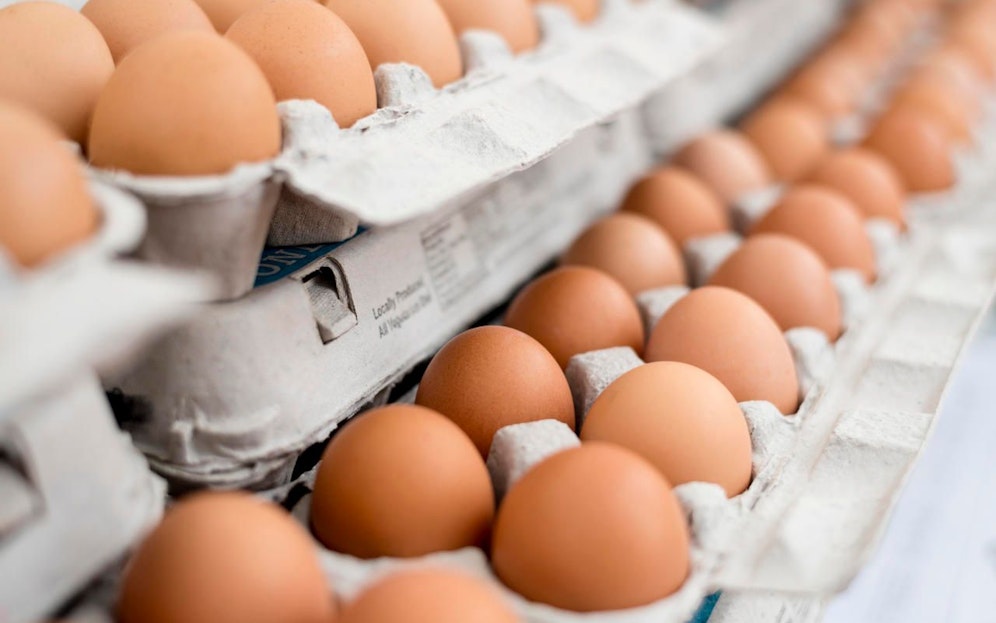 Spätestens am Dienstag liegen die Ergebnisse der beiden betroffenen Eier vor. 