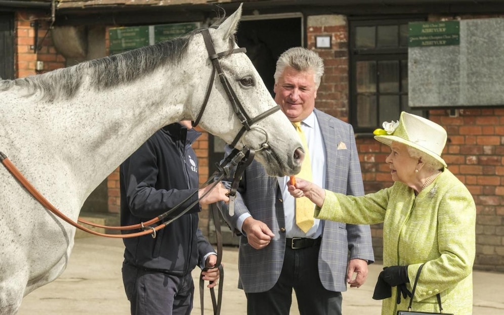 Queen Elizabeth II. im Gestüt von Manor Farm.