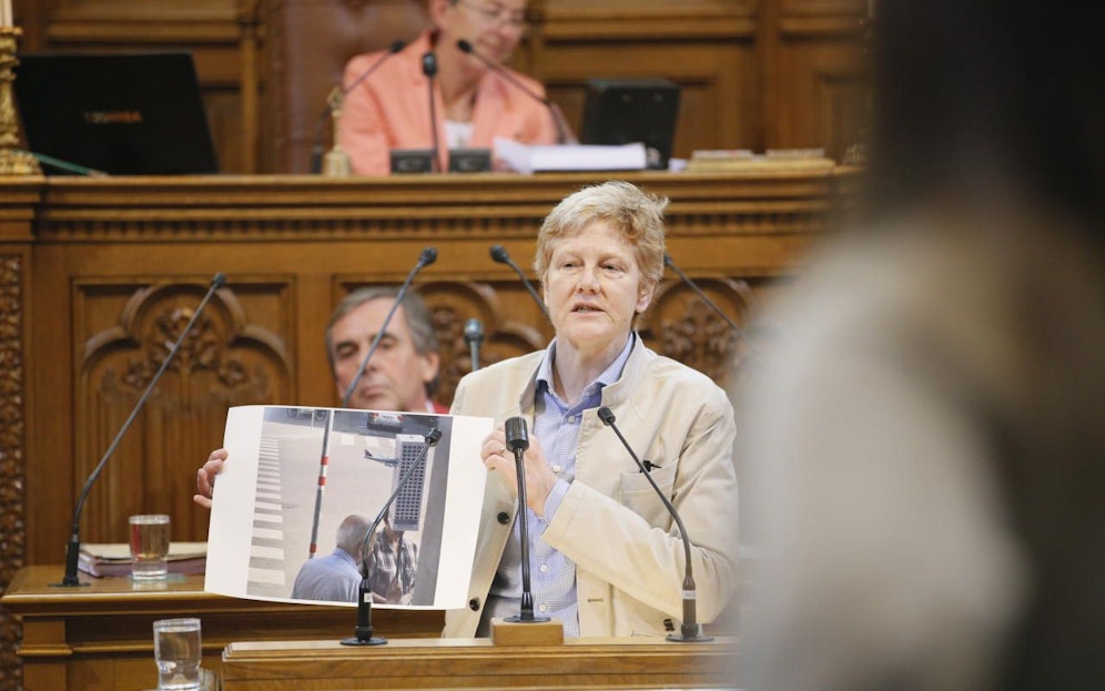 Die grüne Gemeinderätin Jennifer Kickert kritisierte den geschmacklosen Protest der Heumarkt-Gegner.