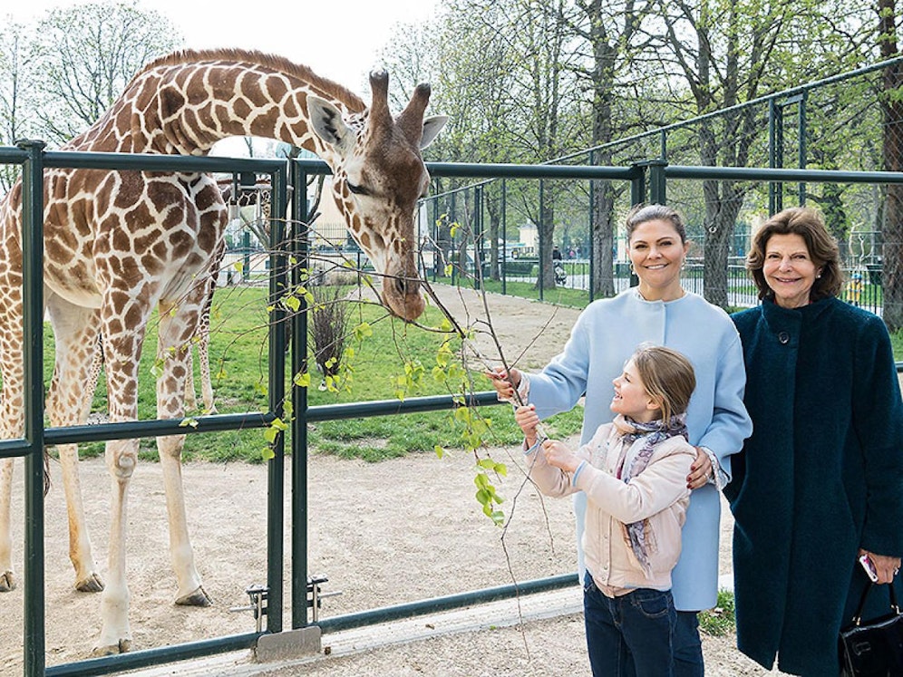 Königin Silvia von Schweden, Kronprinzessin Victoria und Prinzessin Estelle im Tiergarten Schönbrunn
