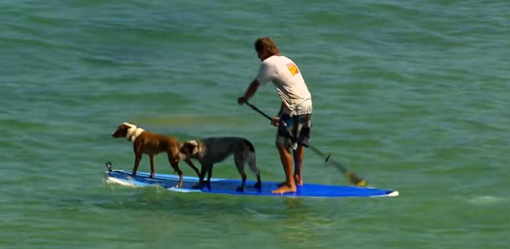 Die kuriosesten Urlaubsvideos