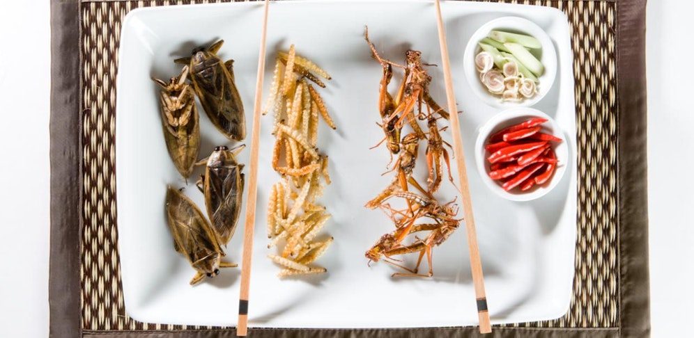 Symbolbild: So könnte man Ihr Mittagsmenü aussehen!