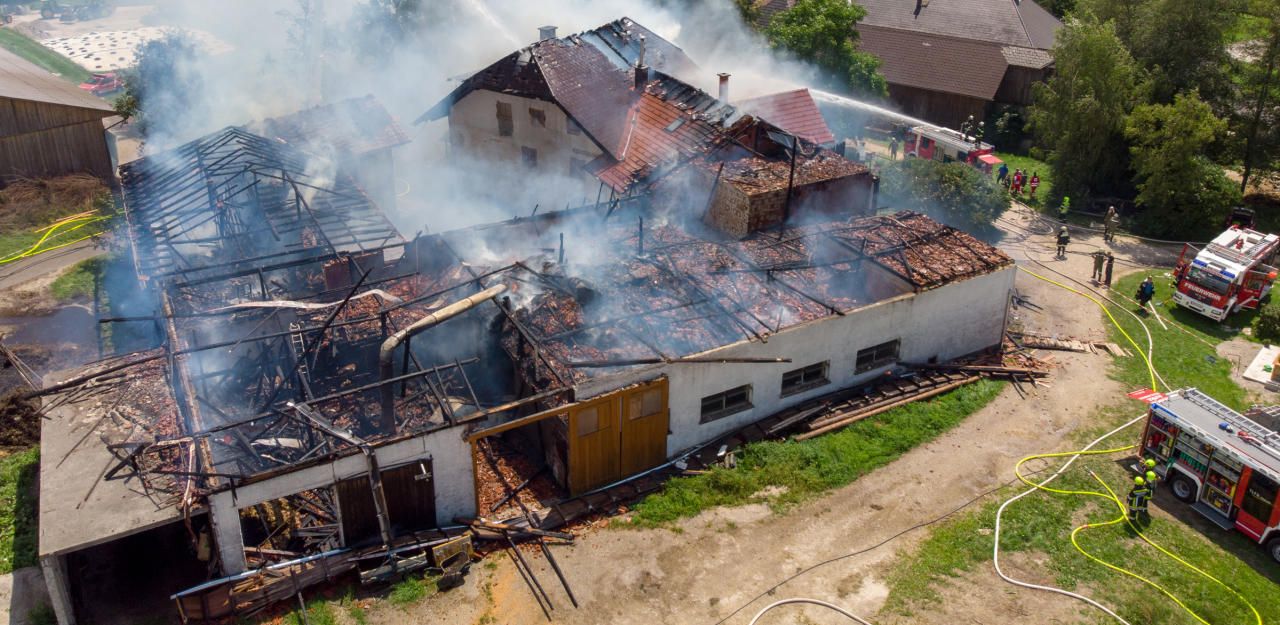 Heute.at - Bauernhof abgebrannt: Rinder im Stall verendet