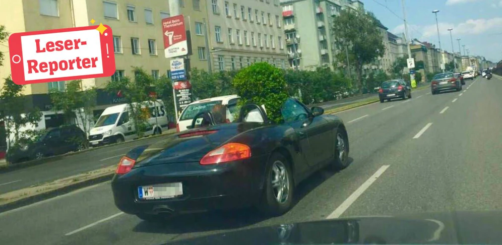 Dieser Porsche eignet sich perfekt zum Transportieren von Gartenbäumen.