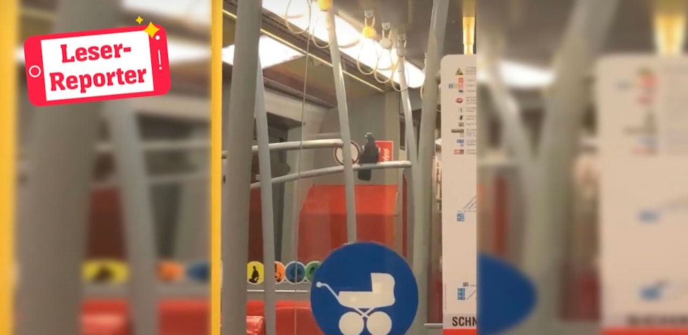 "Da ist wohl jemand zu müde um zu fliegen und möchte lieber U-Bahn fahren", so der Leserreporter.  