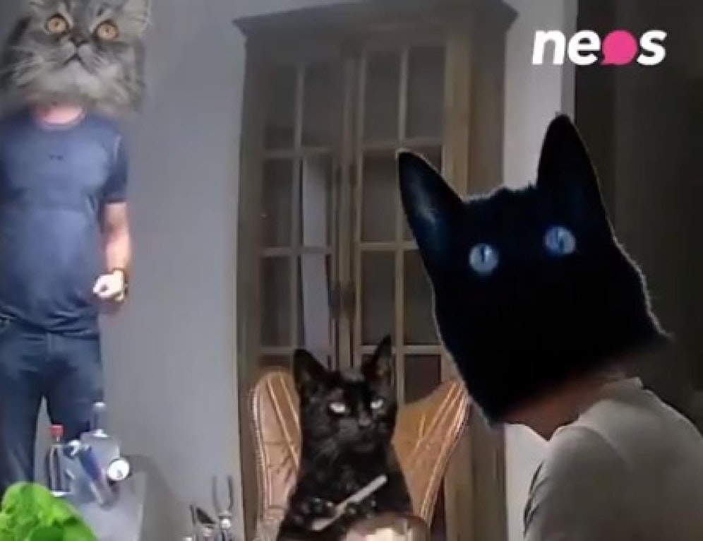 Gudenus und Strache mit Katzenkopf