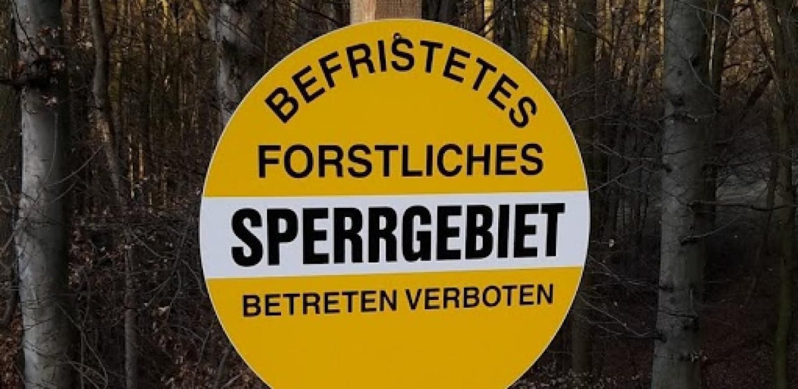 Eschensterben: Stadtwald in Klosterneuburg gesperrt