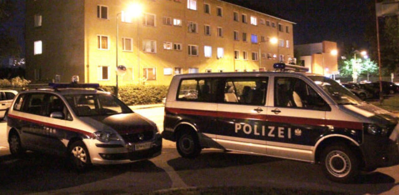 Die Polizei nahm die Frau vorläufig fest
