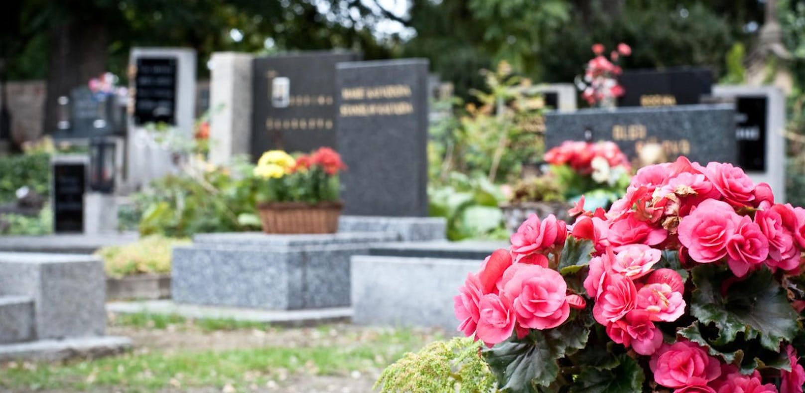 Die 80-Jährige wollte das Grab eines Angehörigen pflegen.