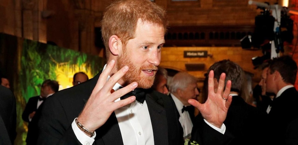 Prinz Harry warnt vor Videospielen und Social Media.