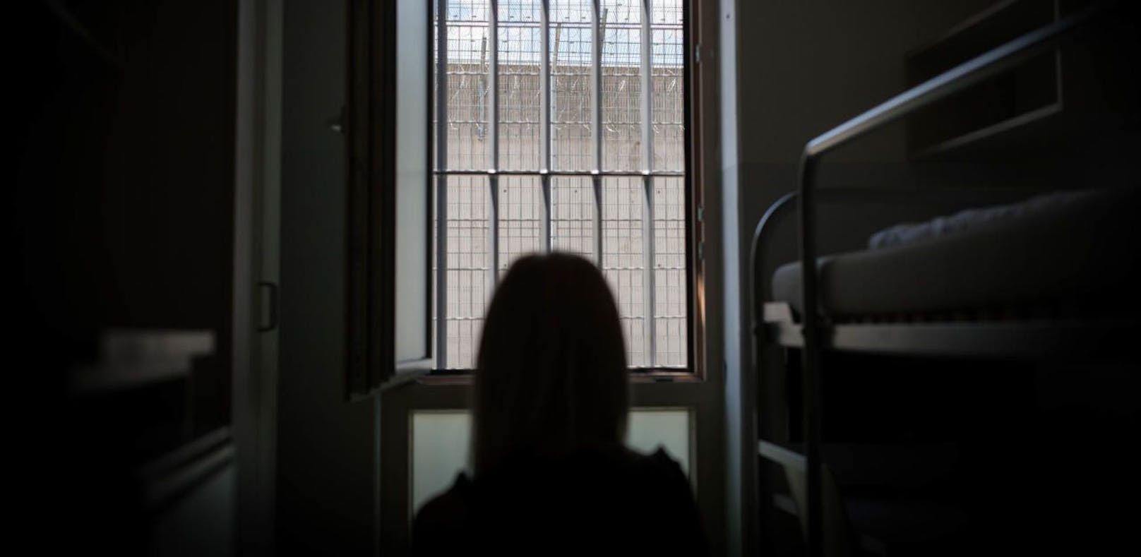 Wer wirklich in Österreichs Gefängnissen einsitzt