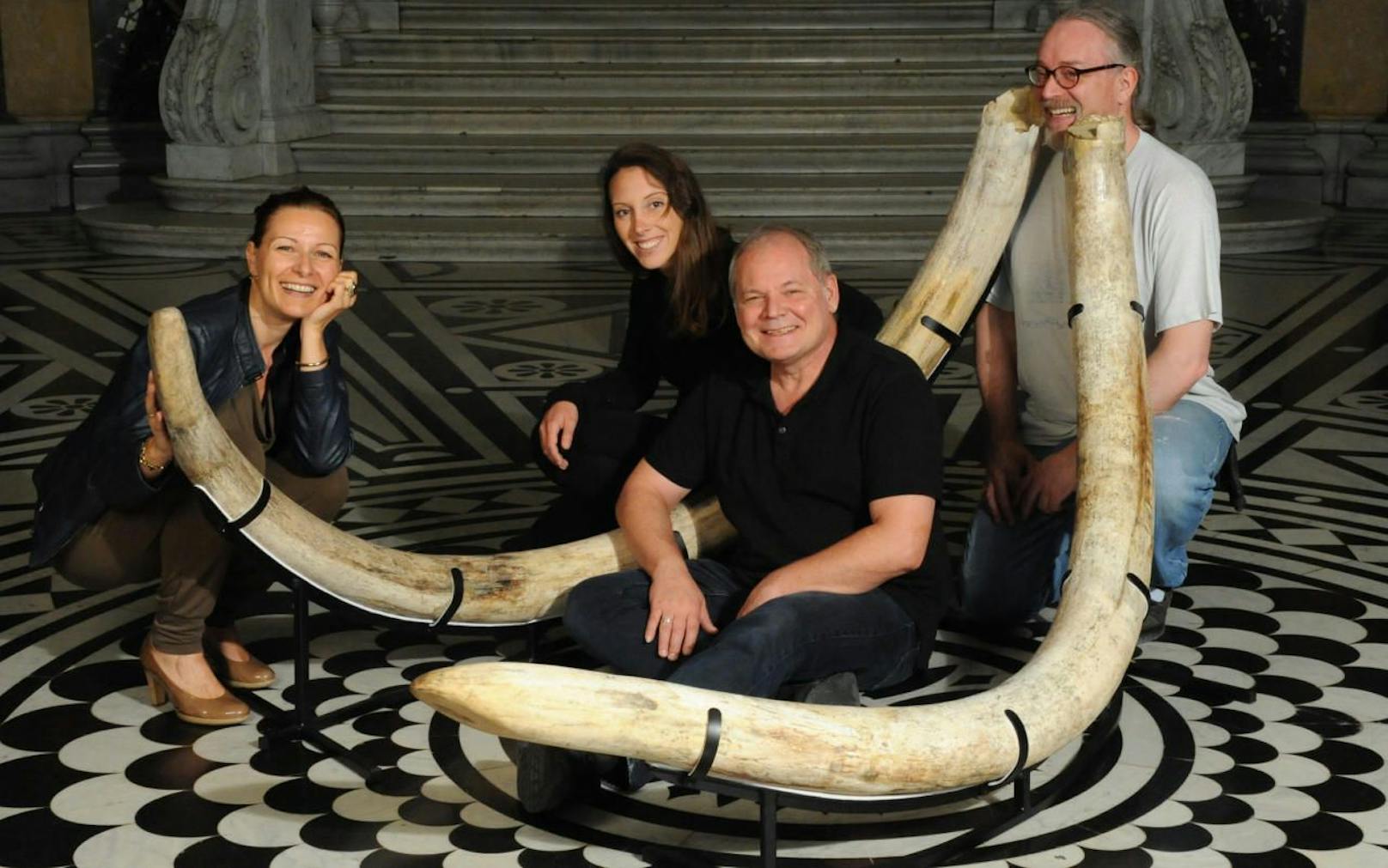 Am 2. September steht das Naturhistorische Museum Wien ganz im Zeichen des Sensationsfundes &quot;Bullendorfer Mammut&quot;. Die Experten Ursula Göhlich (Paläontologin), Iris Fuchs (Präparatorin), Anton Englert (Präparator) und Anton Fürst (Präparator) werden den Besuchern spannende Informationen zu den Eiszeitriesen geben. (c) NHM Wien