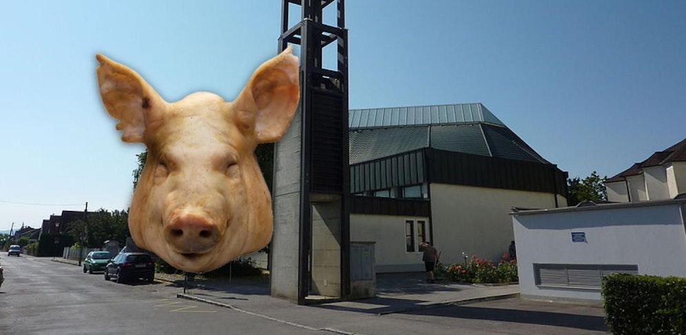 Symbolfoto eines Sauschädls und die Severin-Kirche.