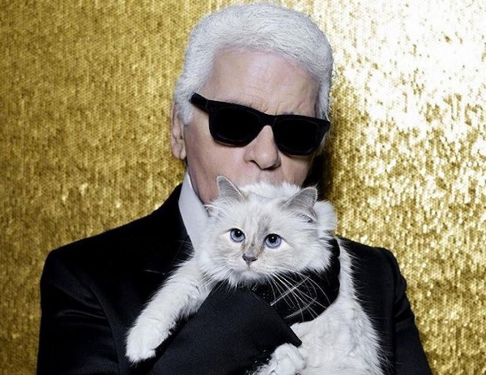 Bekommt Choupette Lagerfelds Geld?