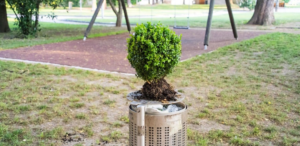 Im Park am Hessenplatz soll ab Herbst umgebaut werden. Das Foto vom Wochenende zeigt eine "Verschönerungsaktion", die wohl nichts damit zu tun hat. Jemand hat einen Busch einfach ausgerissen und auf eine Mülltonne gestellt.