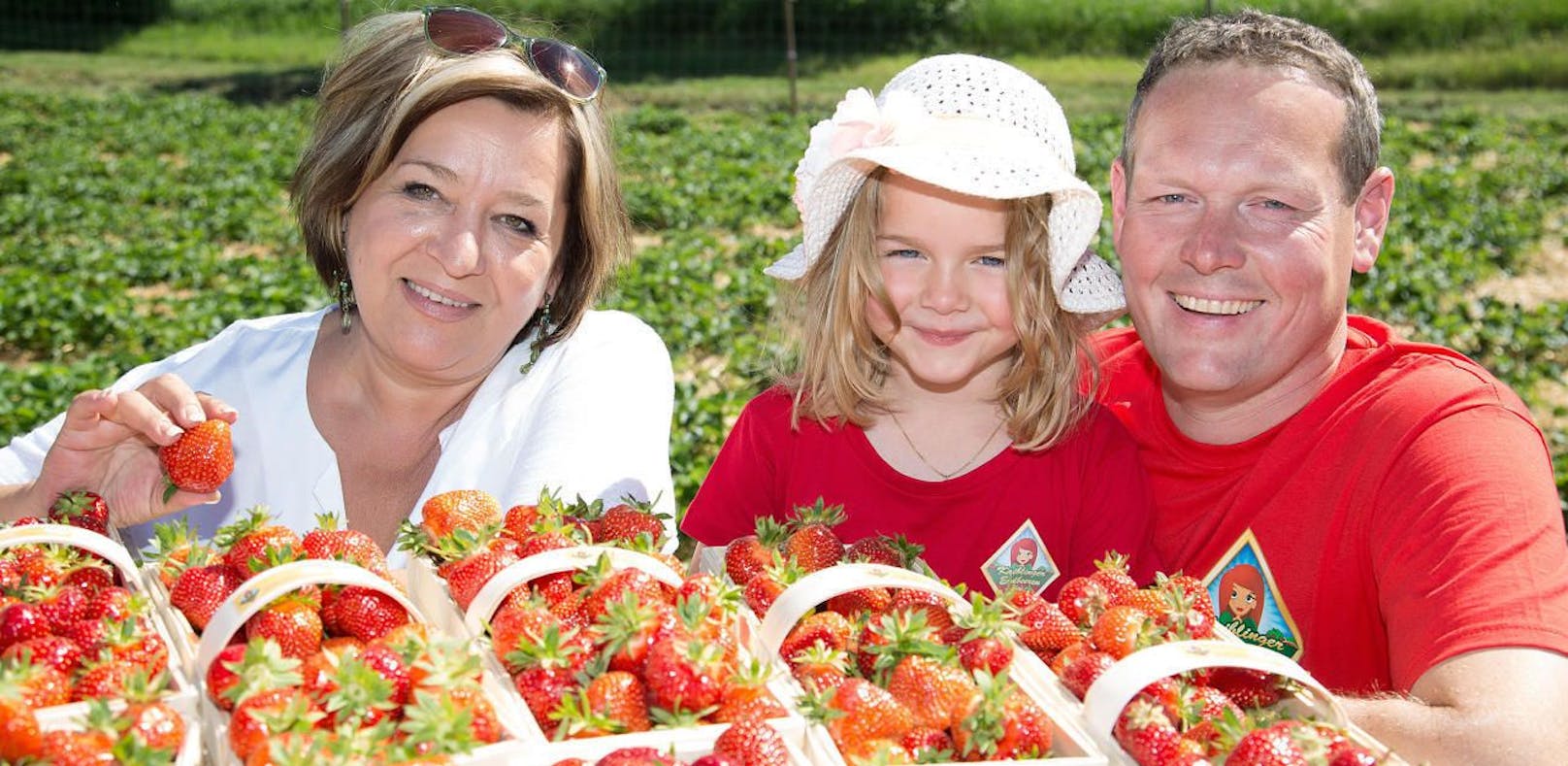 Süße Versuchung: NÖ Konsumentenschutzreferentin Karin Renner (SP) nahm die Erdbeeren von Fam. Kaiblinger unter die Lupe. 