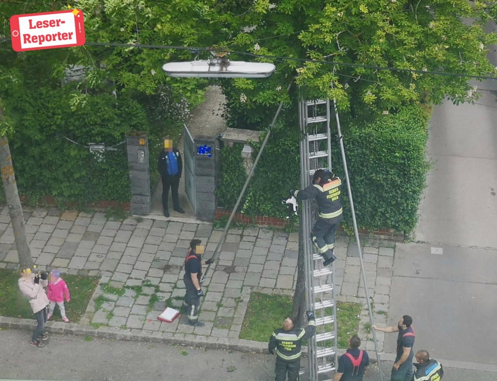 Der Feuerwehrmann lockte die Katze mit Leckerlis vom Baum.