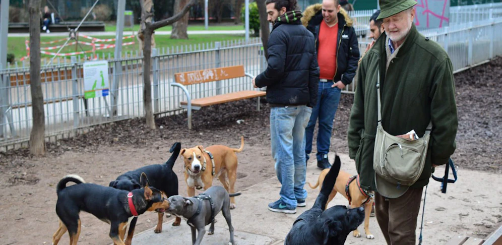 Hundezone Wien Schadekgasse