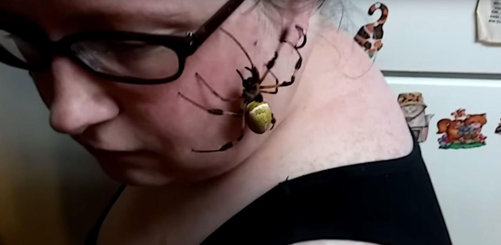 Spinne gefunden: Wären Sie tapfer wie diese Frau?