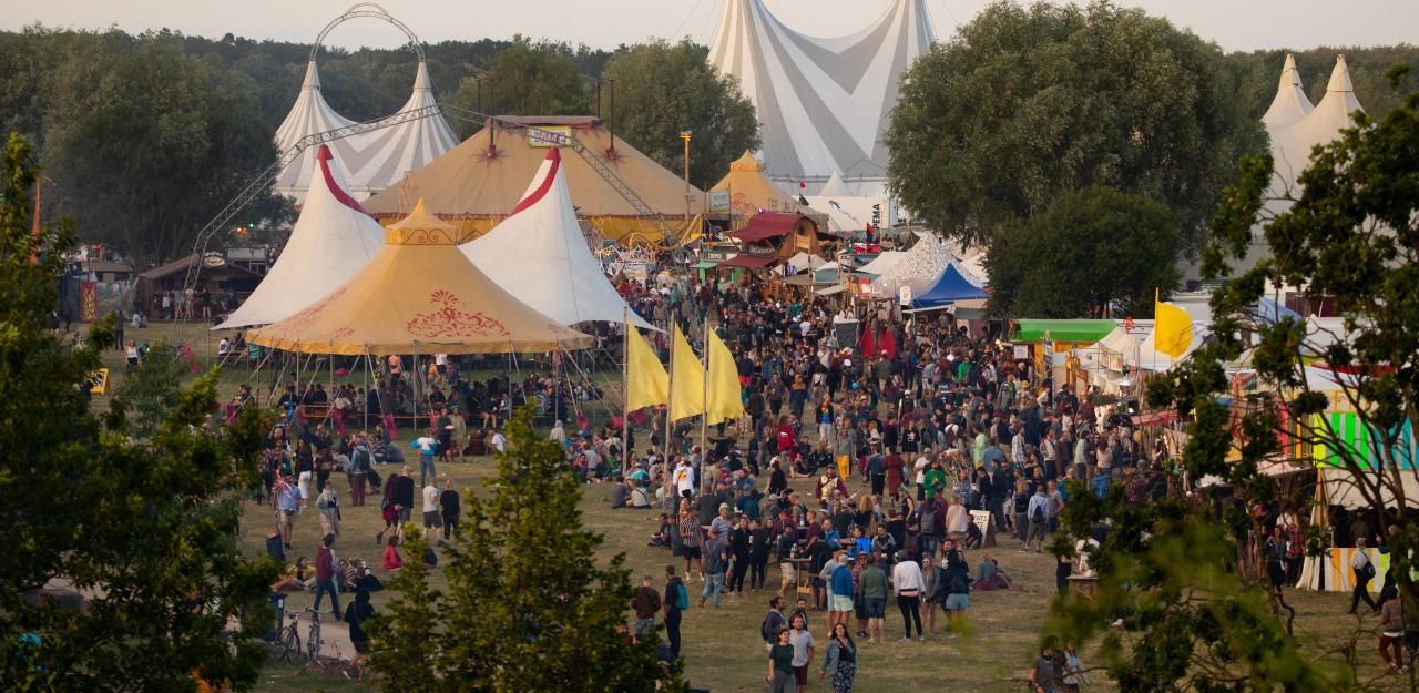 Leichen auf zwei Festivals gefunden - Welt 