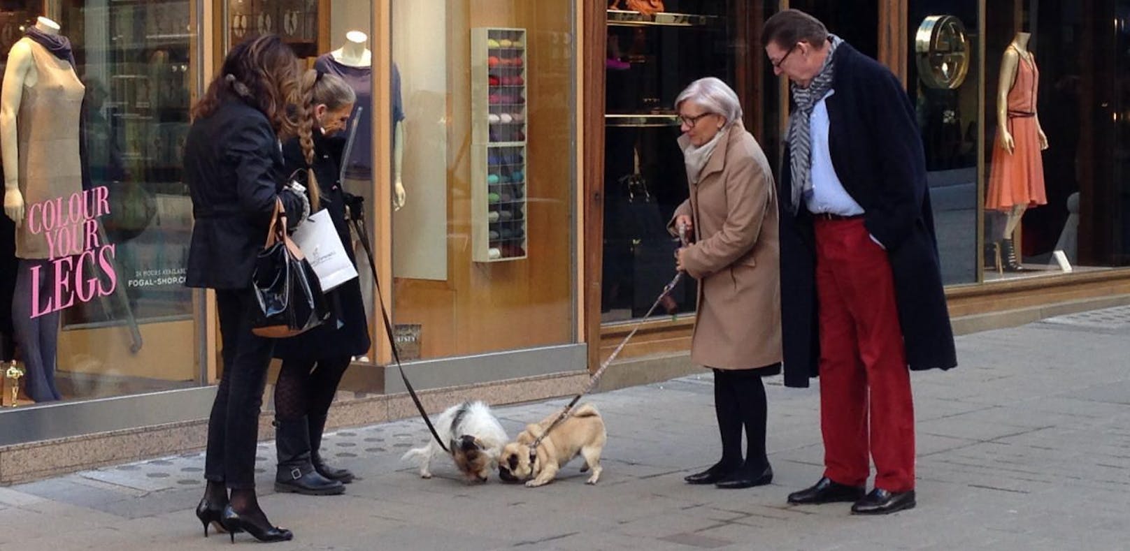 Hundebesitzer in Wien müssen sich auf strengere Regeln einstellen.