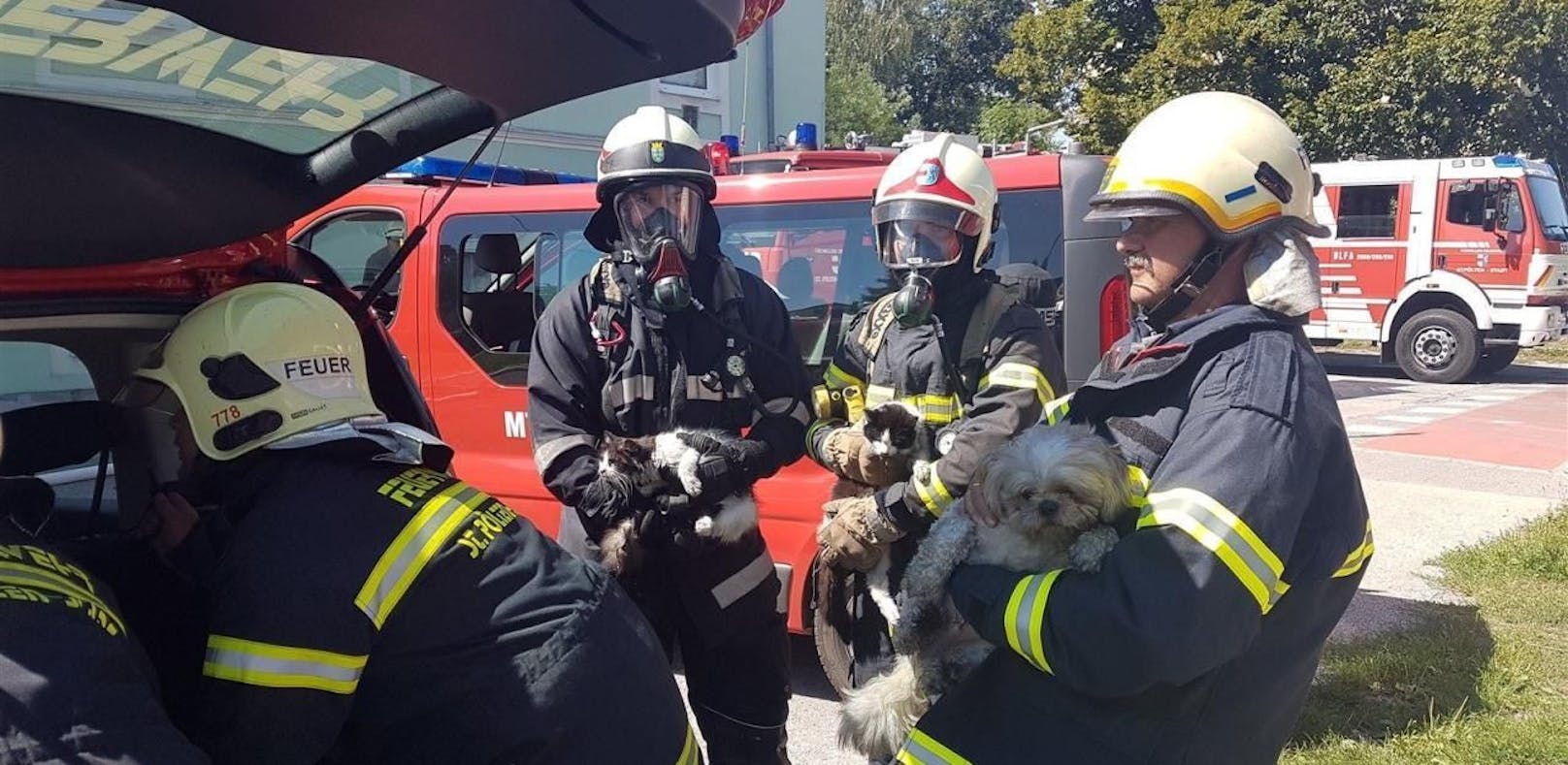 Die Feuerwehr rettete insgesamt drei Tiere.