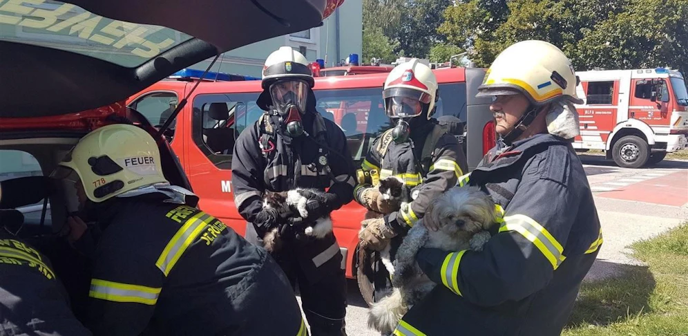 Die Feuerwehr rettete insgesamt drei Tiere.