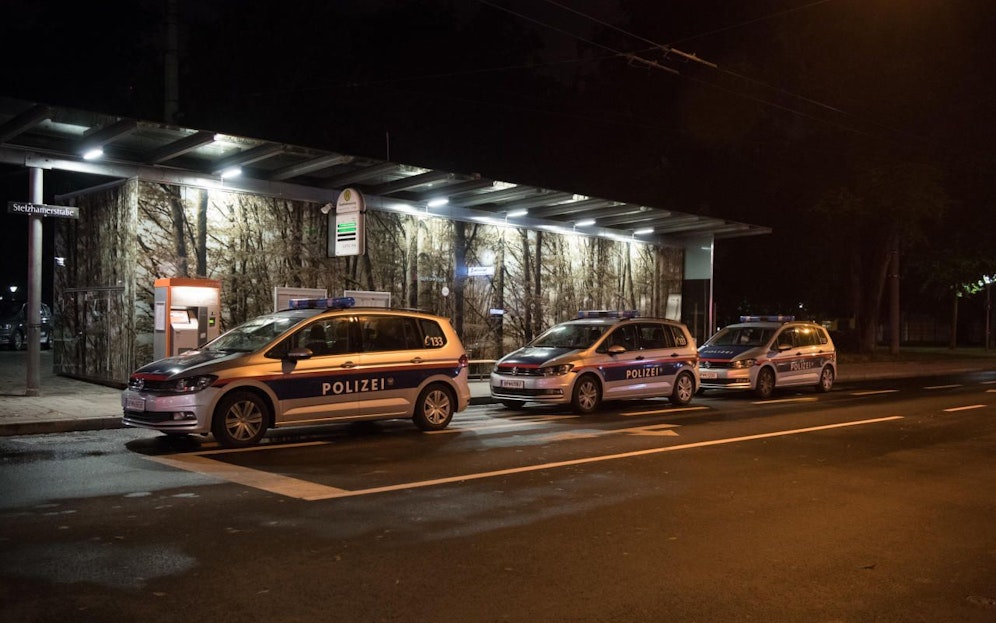Mehrere Streifenwagen mussten ausrücken.
