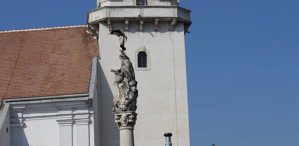 Der Storch machte es sich auf der Brucker Mariensäule gemütlich und genoss die Sonnenstrahlen.
