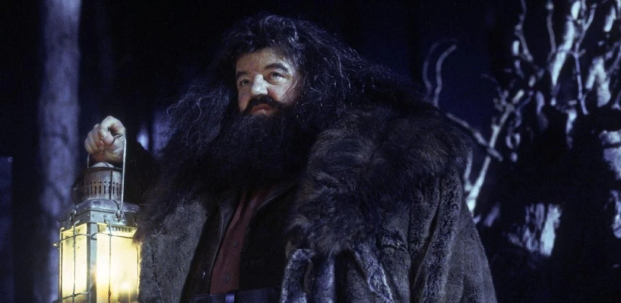 Heute.at - Hagrid aus Harry Potter sitzt im Rollstuhl