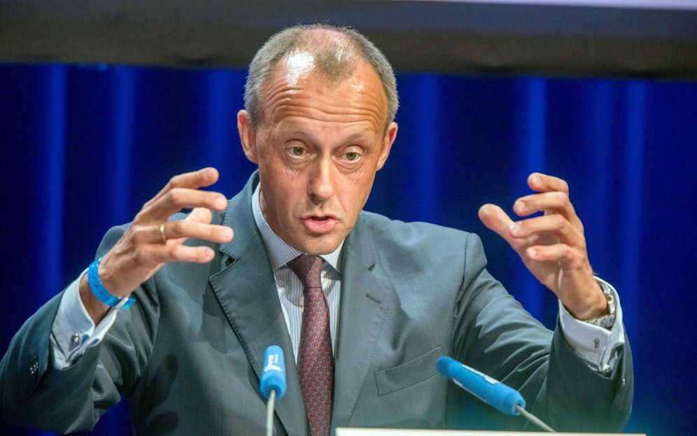 Der Vizepräsident des Wirtschaftsrates der CDU, Friedrich Merz kritisiert Greta Thunberg