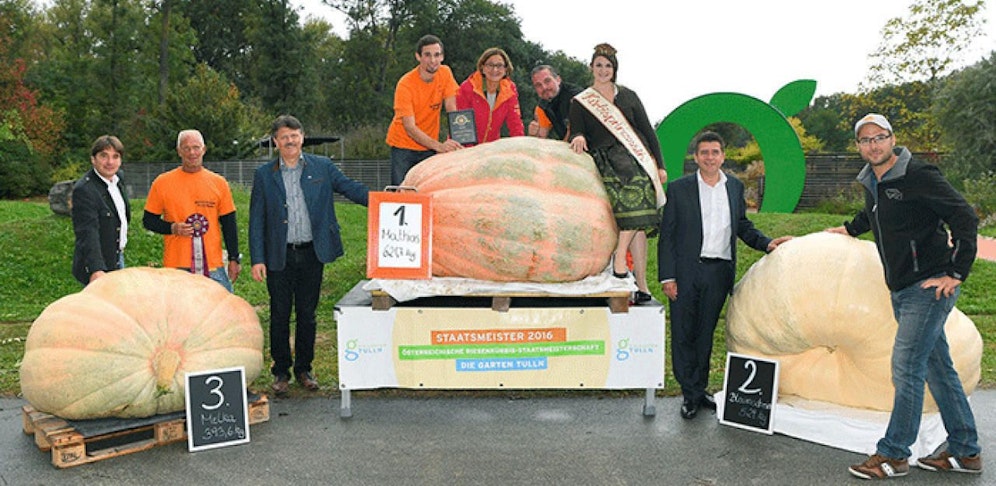 Franz Mathias holte mit seinem 621,7 Kilogramm schweren Kürbis im Vorjahr den Titel.