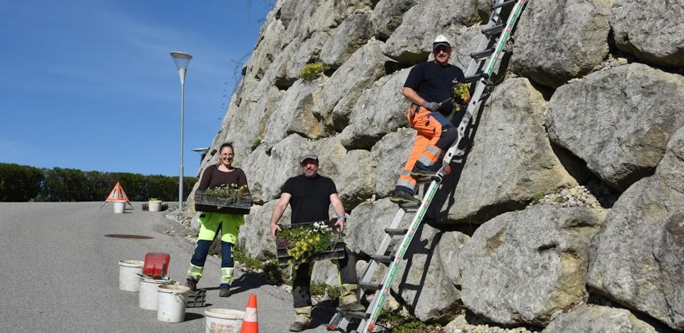 Alexandra Bacher und Wolfgang Kettner (r.), beide zuständig für die Grünanlagen, pflanzen mit Stadtgärtner Jan-Michael Fabian (M.) die ersten Blumen.