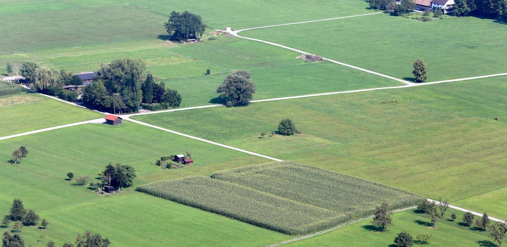 Auf einem Güterweg in Dornbirn eskalierte am Montag ein Streit zweier Männer. (Symbolbild)