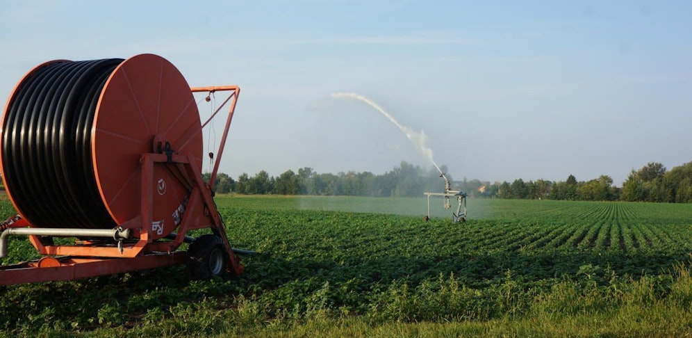 Die Wasserversorgung auf den Feldern wird im Marchfeld schon zum Problem.
