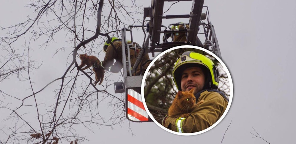 Diese Rettung kam gerade rechtzeitig.