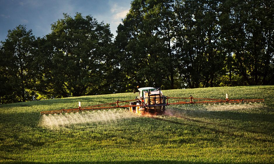 Heute.at - Frankreich sagt Non zu Pflanzengift Glyphosat