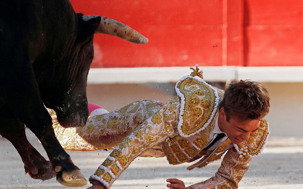 Getroffen! Torero Andy Younes (20) hat das Horn des Stiers abbekommen. 
