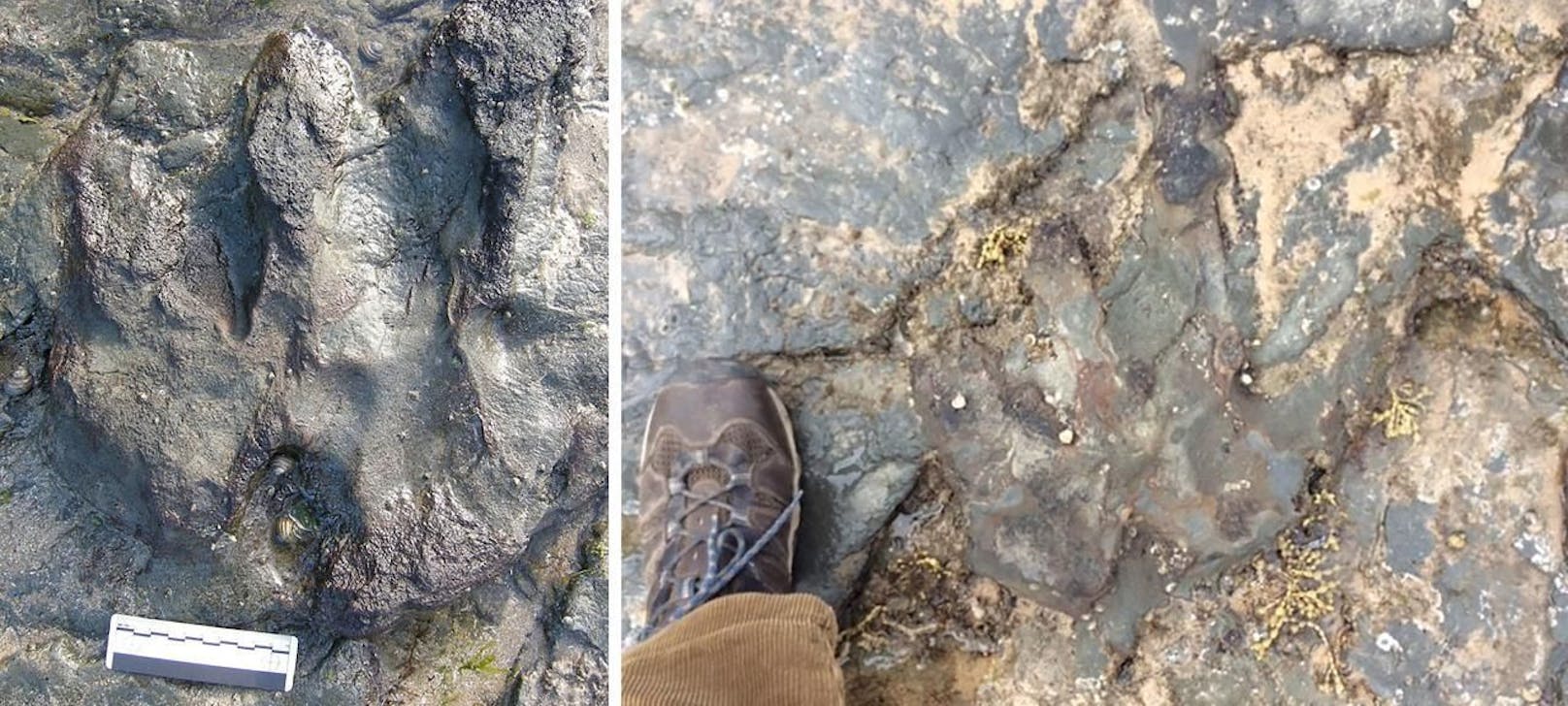 Vandalen haben zugeschlagen: Der zerstörte Dinosaurier-Fußabdruck (rechts).