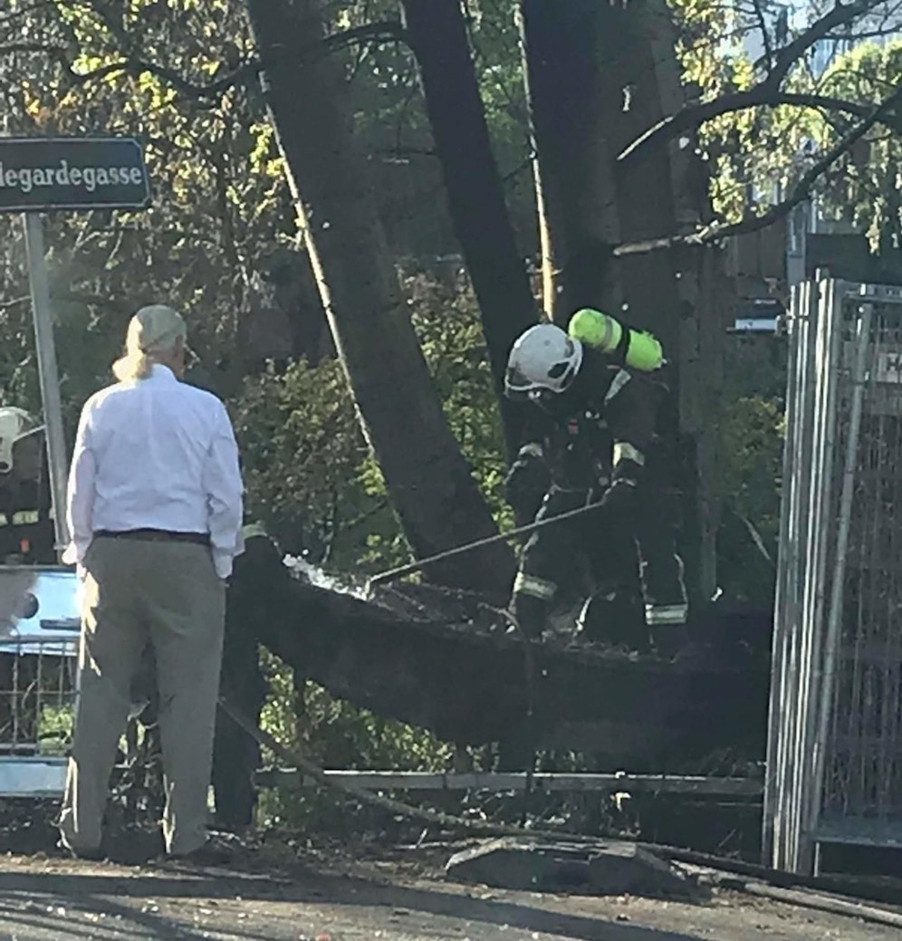 Die Einsatzkräfte konnten ein Übergreifen des Feuers auf ein nahes Wochenendhaus verhindern.
