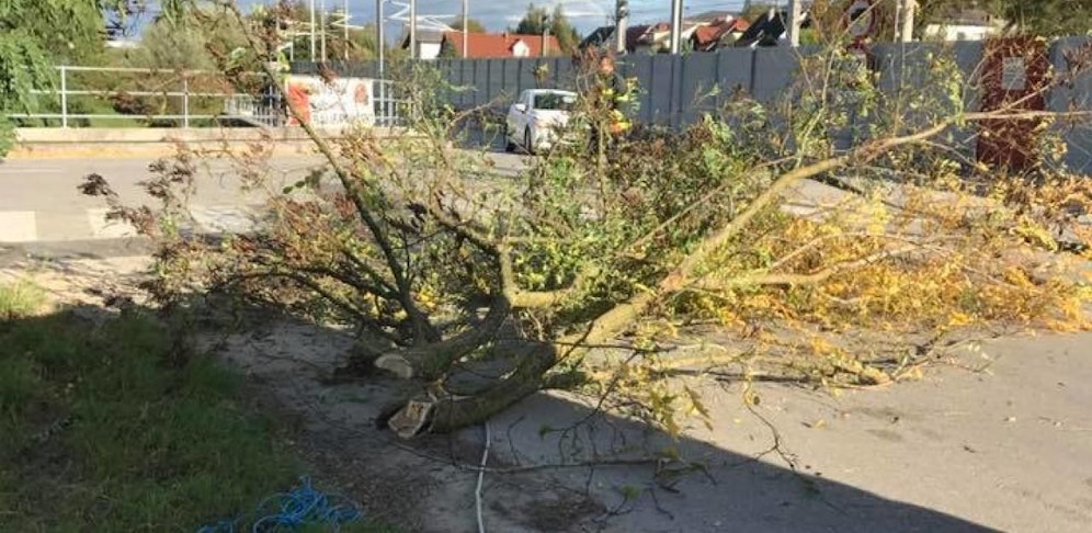 Die Feuerwehr Neumarkt im Hausruckkreis musste bereits erste Sturmschäden beseitigen.