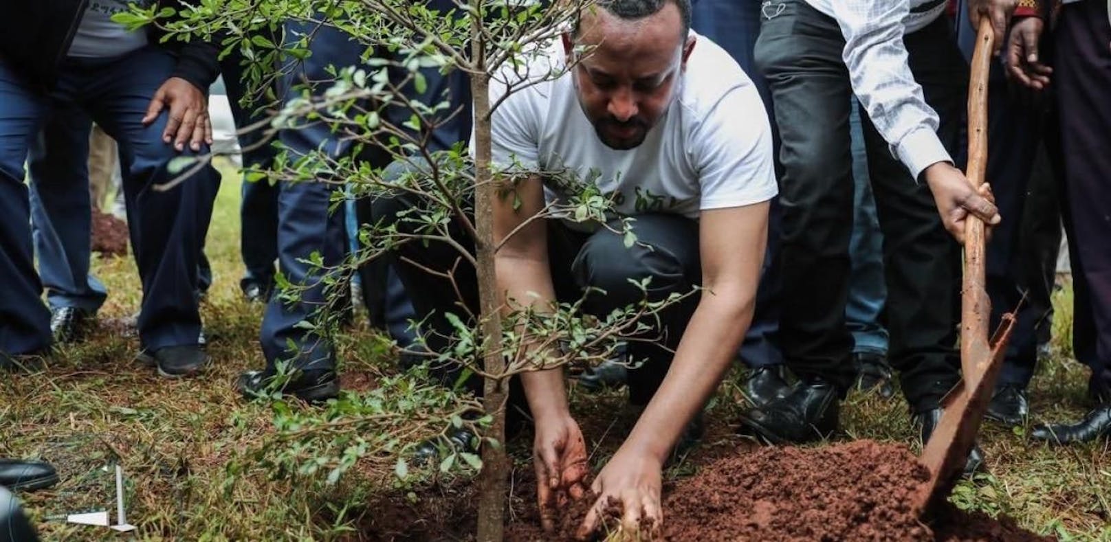 Äthiopien pflanzt 350 Mio. Bäume an nur einem Tag
