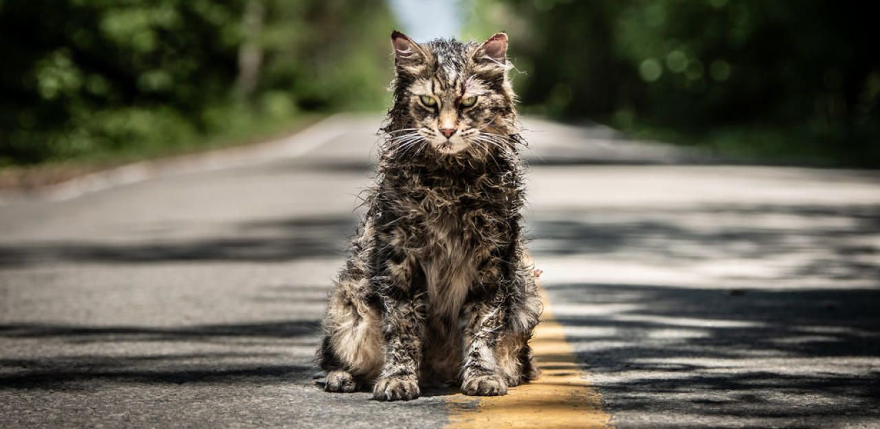 Heute.at - Pet Semetary verwandelt tote Kinder in Ungeheuer