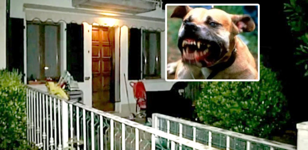 Tödliche Pitbull-Attacke in Italien
