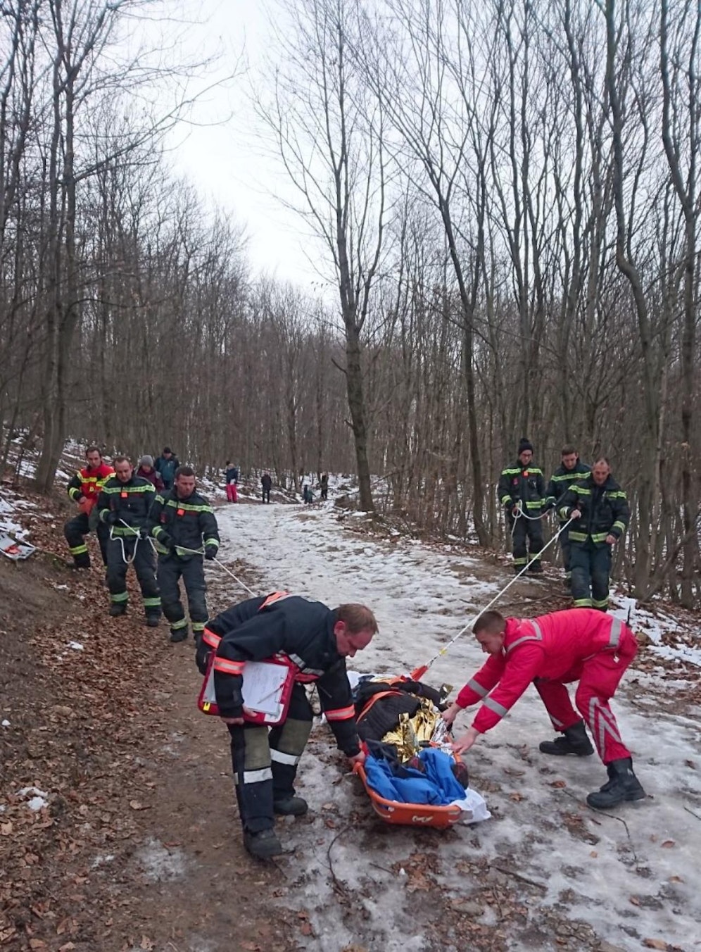 Die Wienerin wurde mit der Rettungswanne vom Cobenzl geborgen. 