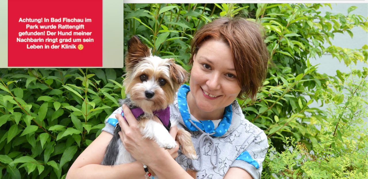Heute.at - Hund vergiftet: Tierhasser schockt Bad Fischau
